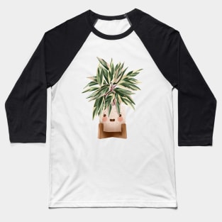 Cute Plant Illustration, Calathea Triostar Illustration 3 Baseball T-Shirt